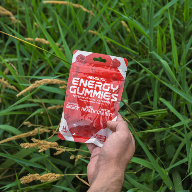 <h4><strong>b12</strong></h4><h1>Energy</h1>